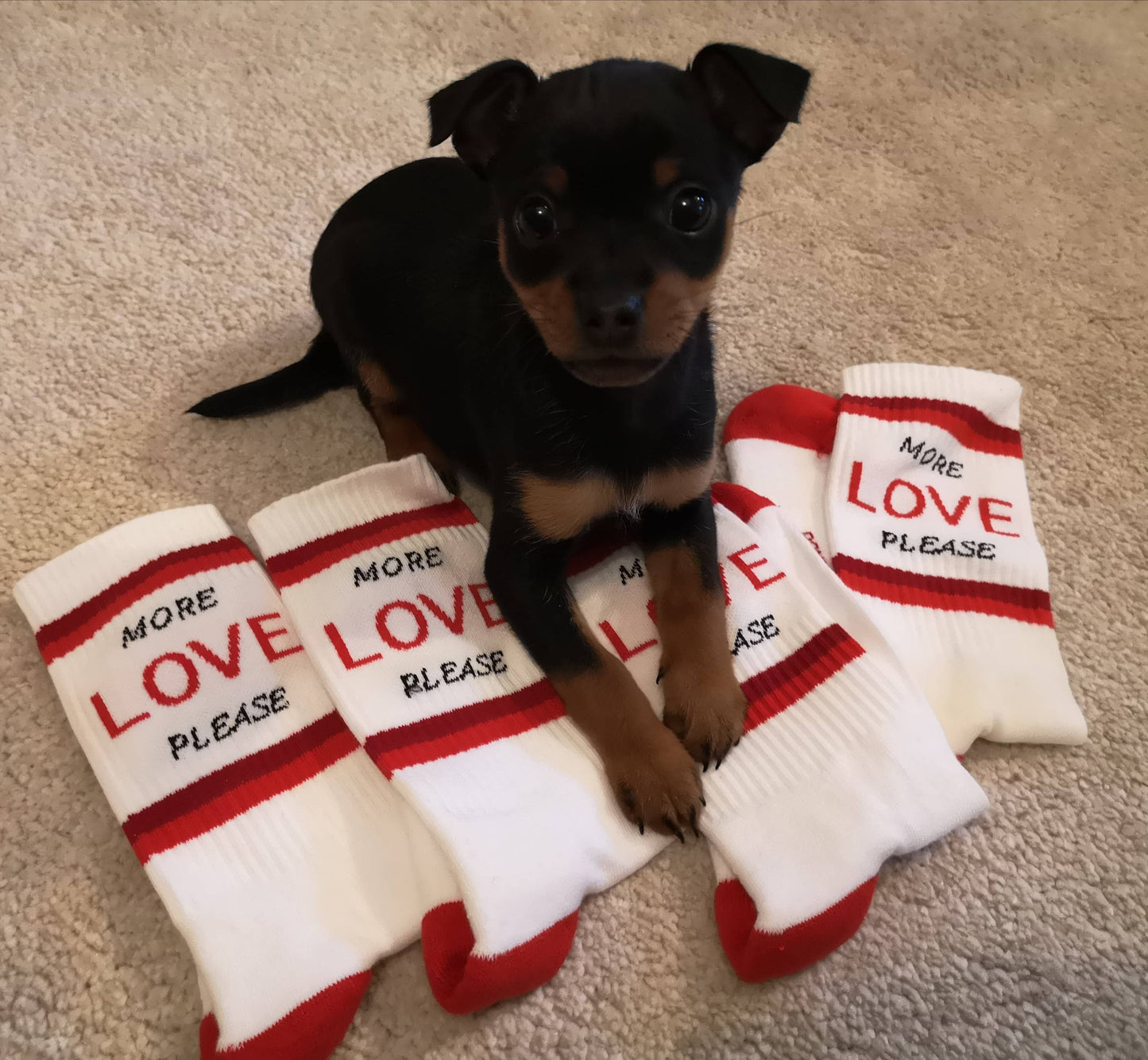 MORE LOVE PLEASE - Mjuka sportstrumpor